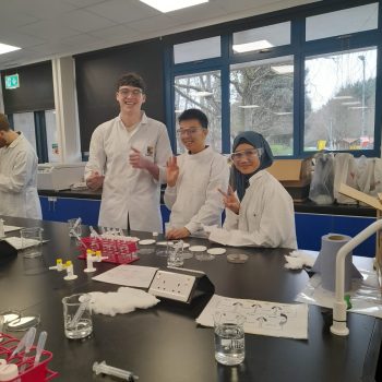 Lab work in Maynooth 2026